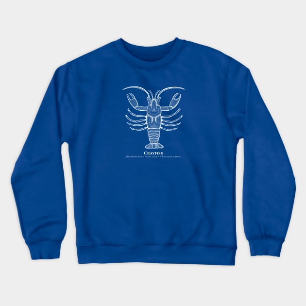 Crayfish with Common and Scientific Names - animal drawing Crewneck Sweatshirt by Green Paladin